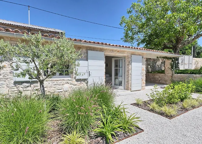 Charlotta Vikendica *